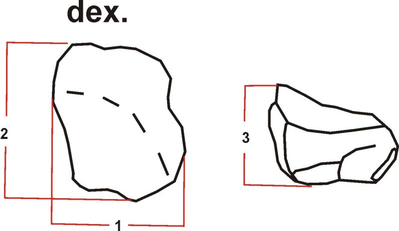 *