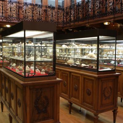 Museo Histórico Minero